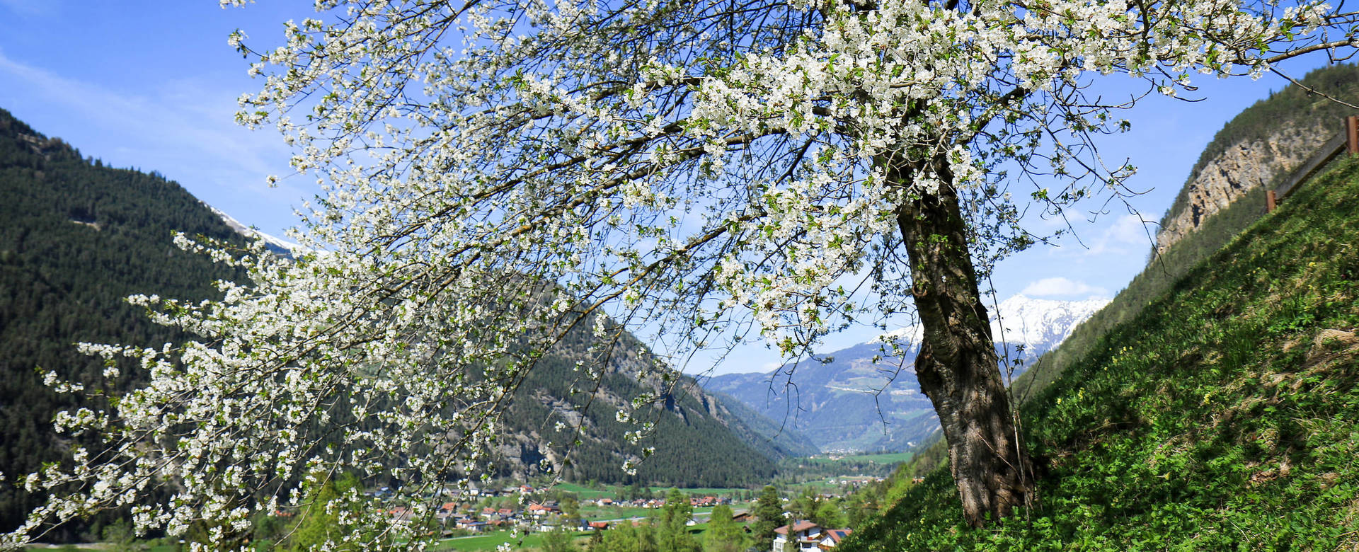  Frühling im Oberland ©-TVB-Tiroler-Oberland-Kurt-Kirschner